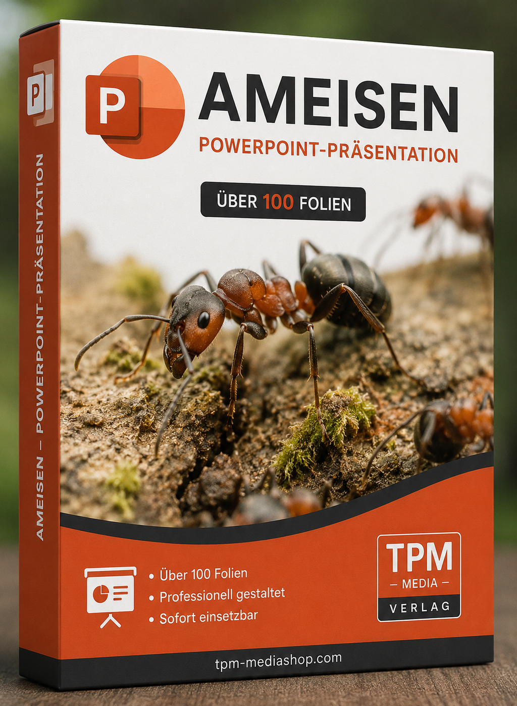 Ameisen PowerPoint Präsentation Schule - Download-Version für den Schuleinsatz