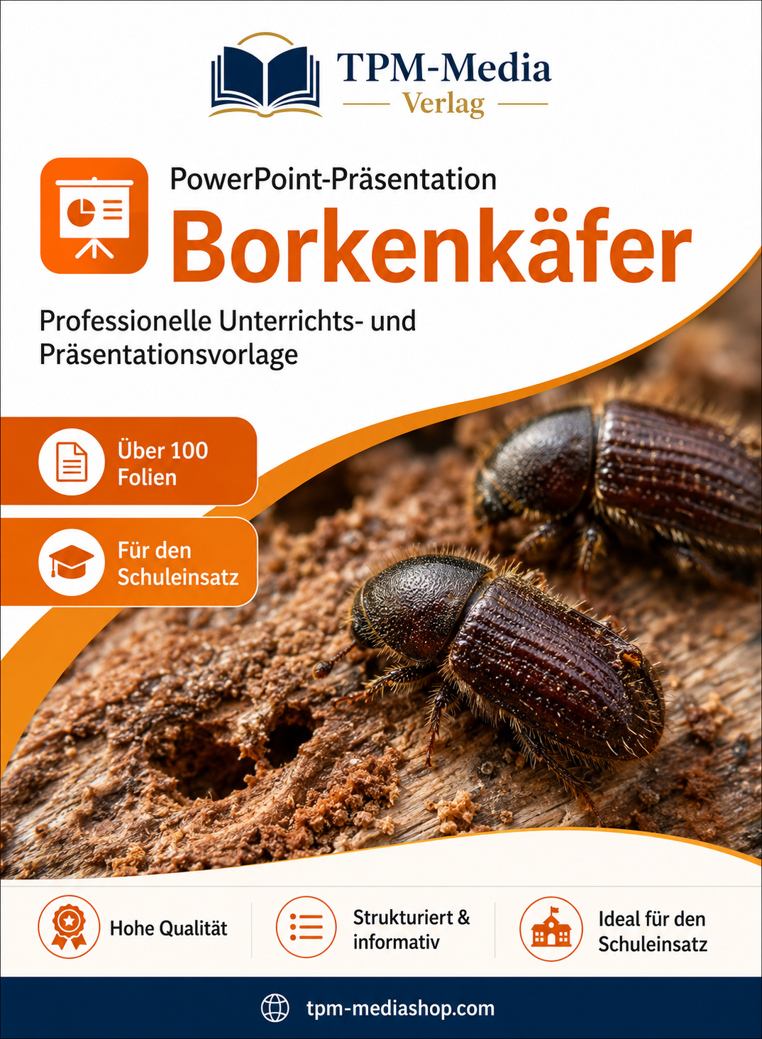 Borkenkäfer PowerPoint Präsentation Schule - Download-Version für den Schuleinsatz