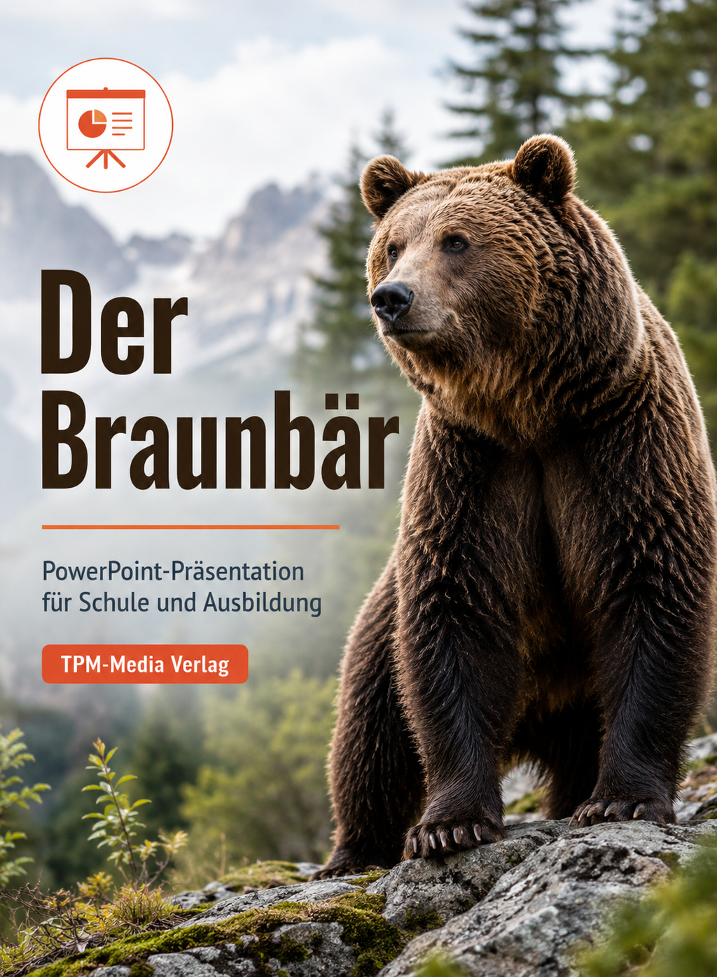 Braunbär PowerPoint Präsentation Schule - Download-Version für den Schuleinsatz