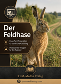 Feldhase PowerPoint Präsentation Schule - Download-Version für den Schuleinsatz