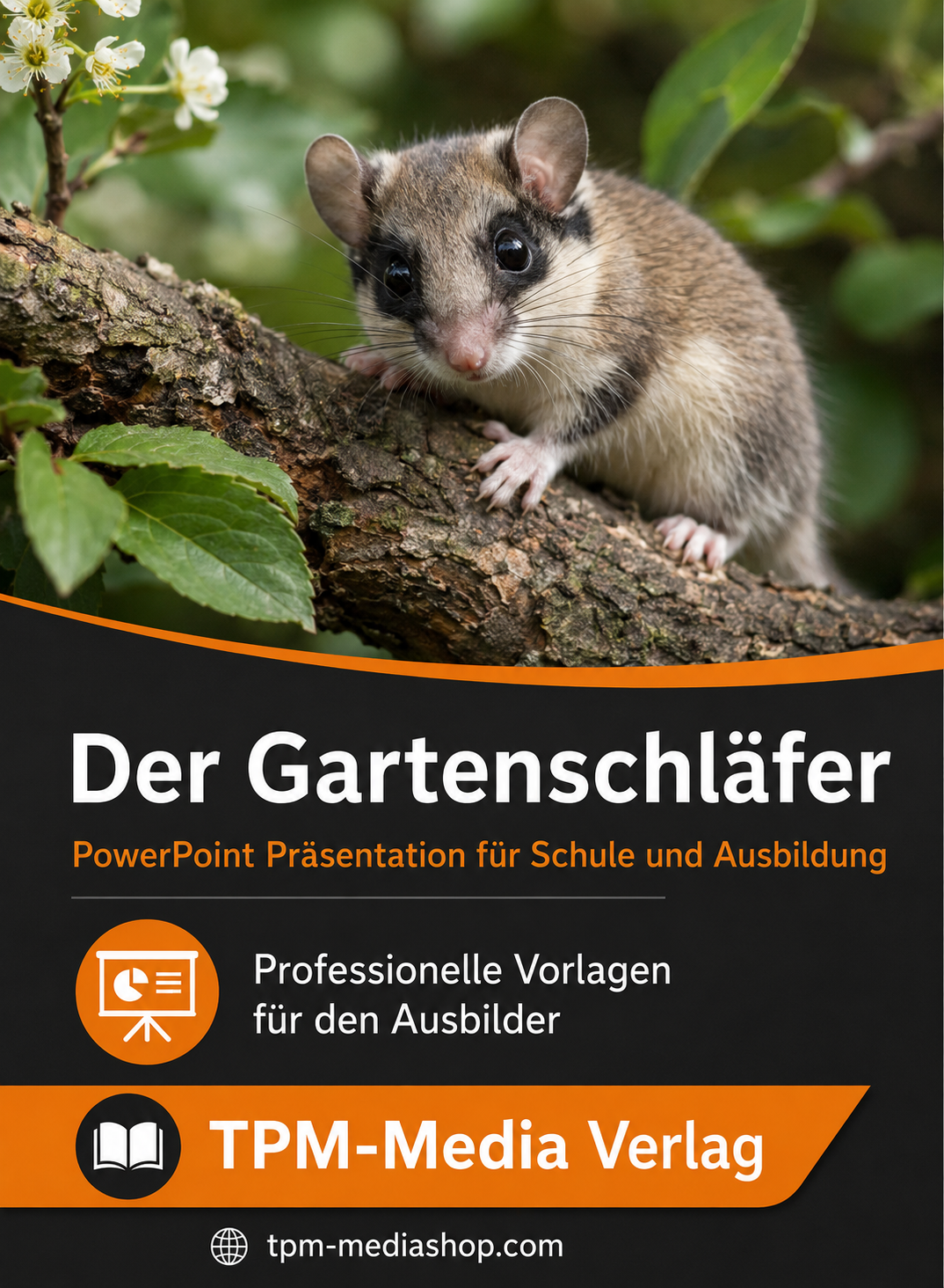 Gartenschläfer PowerPoint Präsentation Schule - Download-Version für den Schuleinsatz
