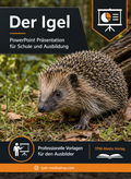 Igel PowerPoint Präsentation Schule - Download-Version für den Schuleinsatz