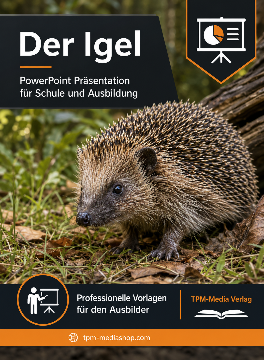 Igel PowerPoint Präsentation Schule - Download-Version für den Schuleinsatz