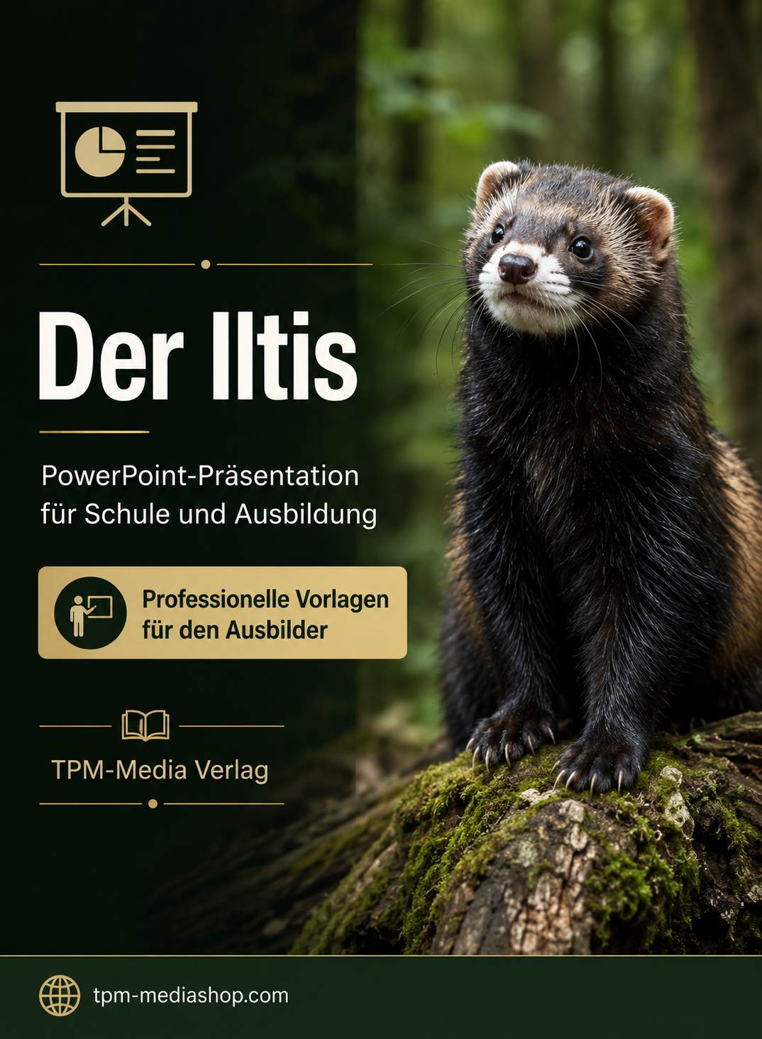 Iltis PowerPoint Präsentation Schule - Download-Version für den Schuleinsatz