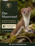Mauswiesel  PowerPoint Präsentation Schule - Download-Version für den Schuleinsatz