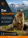 Murmeltier  PowerPoint Präsentation Schule - Download-Version für den Schuleinsatz