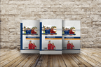 Fragenkatalog Fußballtrainer C-Lizenz Modul 7 & 8 – DFB Prüfungsrichtlinien Buch/Printversion - TPM-Media Verlag