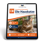 Hauskatze Präsentation Schule - PowerPoint Präsentation für den Schuleinsatz zum Download