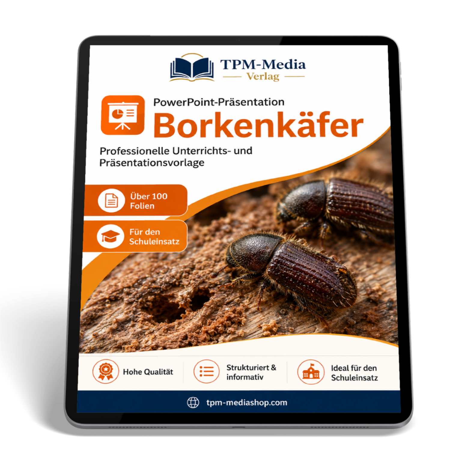 Borkenkäfer Präsentation Schule – PowerPoint Präsentation für den Schuleinsatz als Download