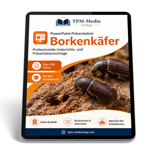 Borkenkäfer Präsentation Schule – PowerPoint Präsentation für den Schuleinsatz als Download