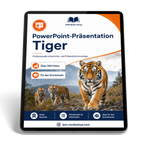 Tiger PowerPoint Präsentation Schule - Download-Version für den Schuleinsatz
