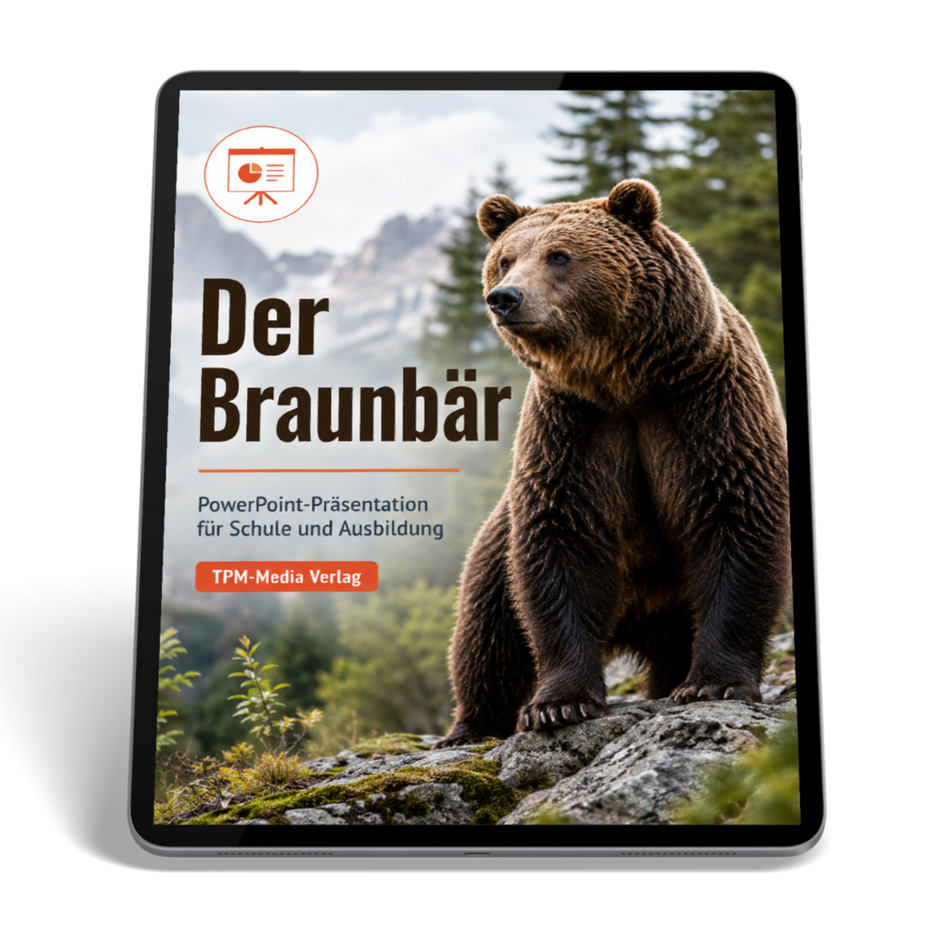Braunbär PowerPoint Präsentation Schule - Download-Version für den Schuleinsatz