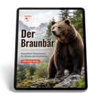 Braunbär PowerPoint Präsentation Schule - Download-Version für den Schuleinsatz