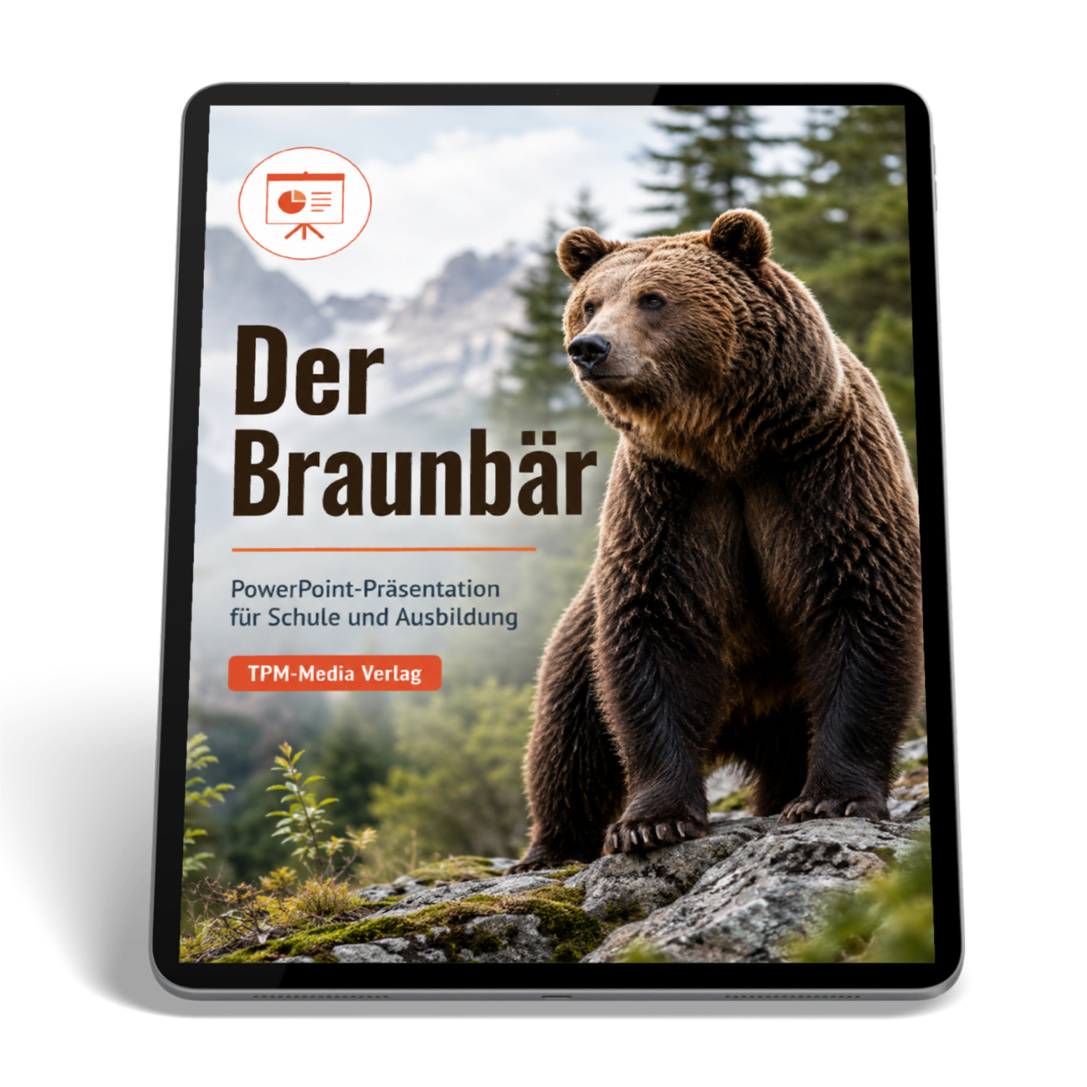 Braunbär PowerPoint Präsentation Schule - Download-Version für den Schuleinsatz