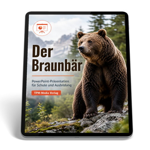 Braunbär PowerPoint Präsentation Schule - Download-Version für den Schuleinsatz