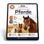 Pferde PowerPoint Präsentation herunterladen - Schulfreundliche Download-Version für den Einsatz im Unterricht