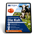 Kühe PowerPoint Präsentation für den Schuleinsatz - Download-Version