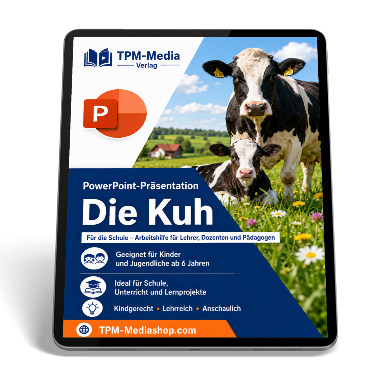 Kühe PowerPoint Präsentation für den Schuleinsatz - Download-Version