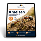 Ameisen PowerPoint Präsentation Schule - Download-Version für den Schuleinsatz