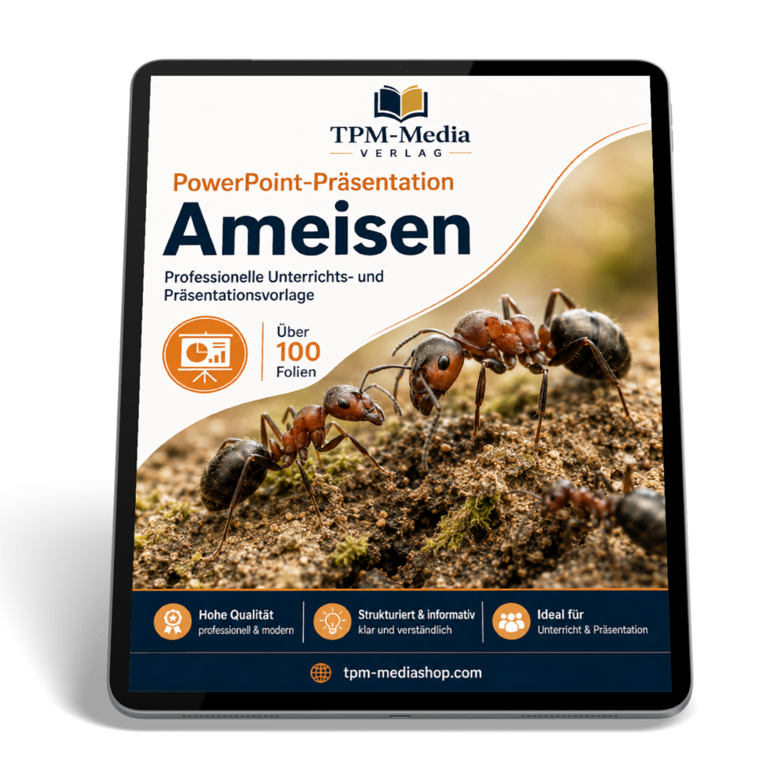 Ameisen PowerPoint Präsentation Schule - Download-Version für den Schuleinsatz