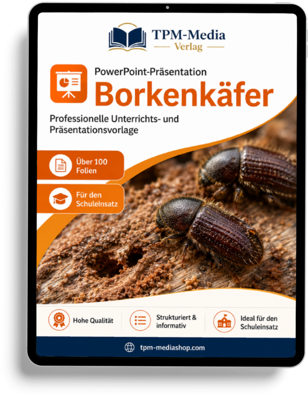 Borkenkäfer Präsentation Schule – PowerPoint Präsentation für den Schuleinsatz als Download