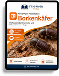 Borkenkäfer Präsentation Schule – PowerPoint Präsentation für den Schuleinsatz als Download