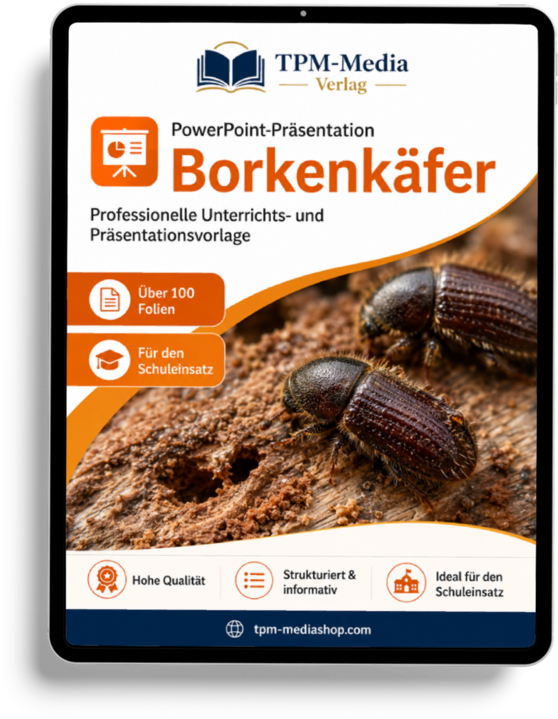 Borkenkäfer Präsentation Schule – PowerPoint Präsentation für den Schuleinsatz als Download