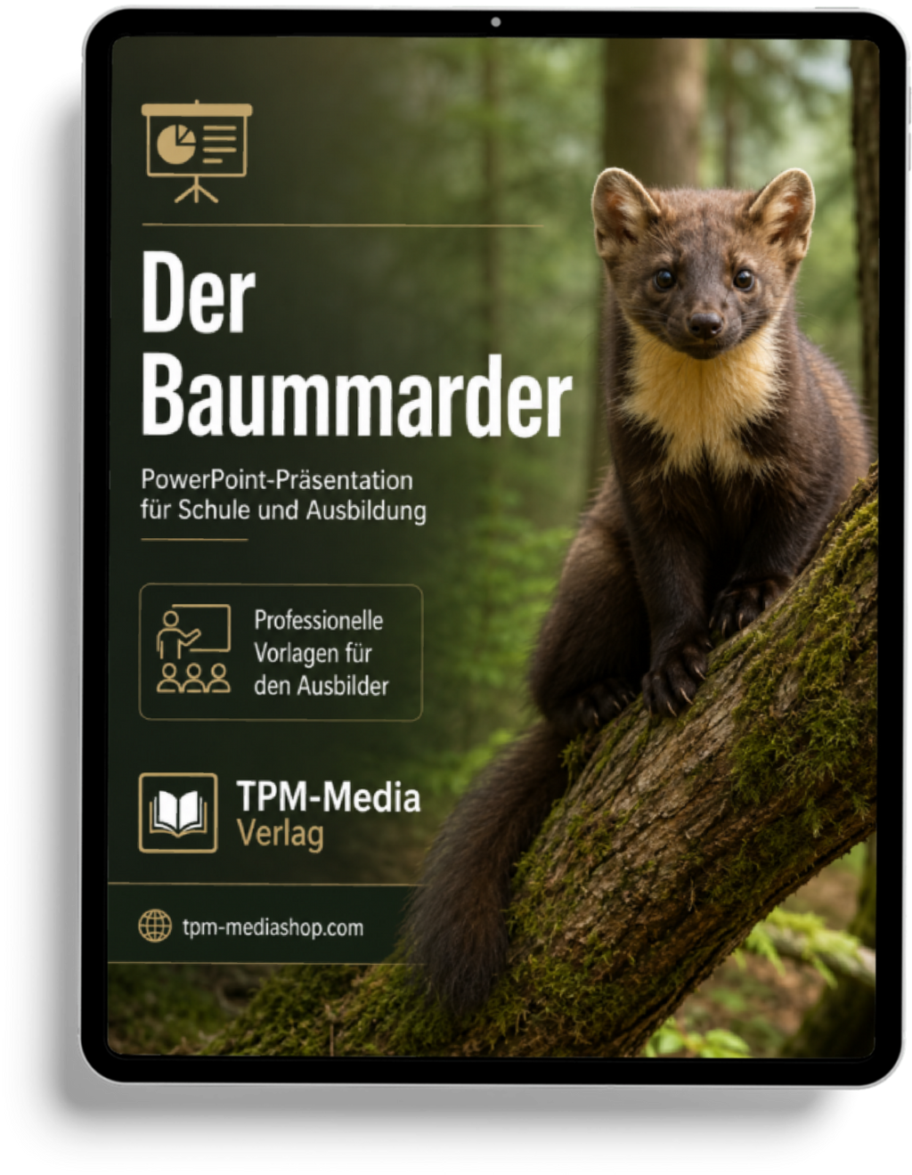 Baummarder PowerPoint Präsentation Schule – Download-Version für den sicheren Schuleinsatz