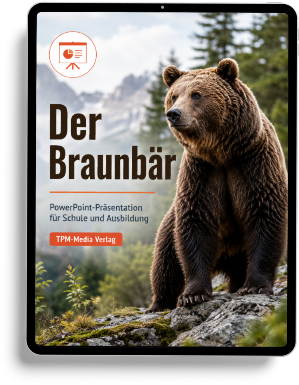 Braunbär PowerPoint Präsentation Schule - Download-Version für den Schuleinsatz