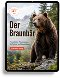 Braunbär PowerPoint Präsentation Schule - Download-Version für den Schuleinsatz