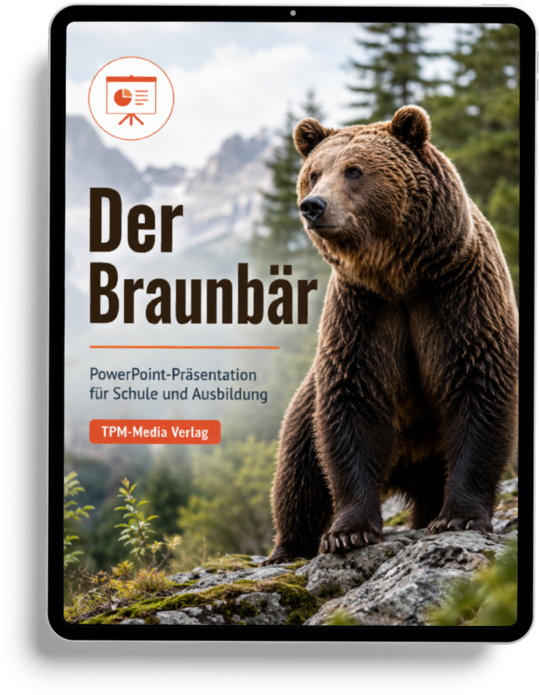 Braunbär PowerPoint Präsentation Schule - Download-Version für den Schuleinsatz