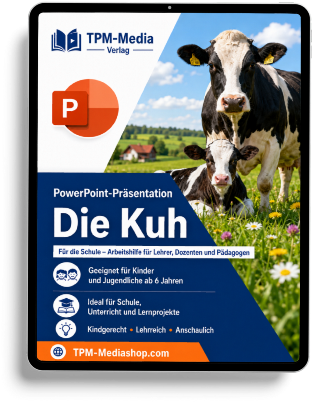 Kühe PowerPoint Präsentation für den Schuleinsatz - Download-Version