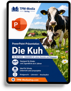 Kühe PowerPoint Präsentation für den Schuleinsatz - Download-Version