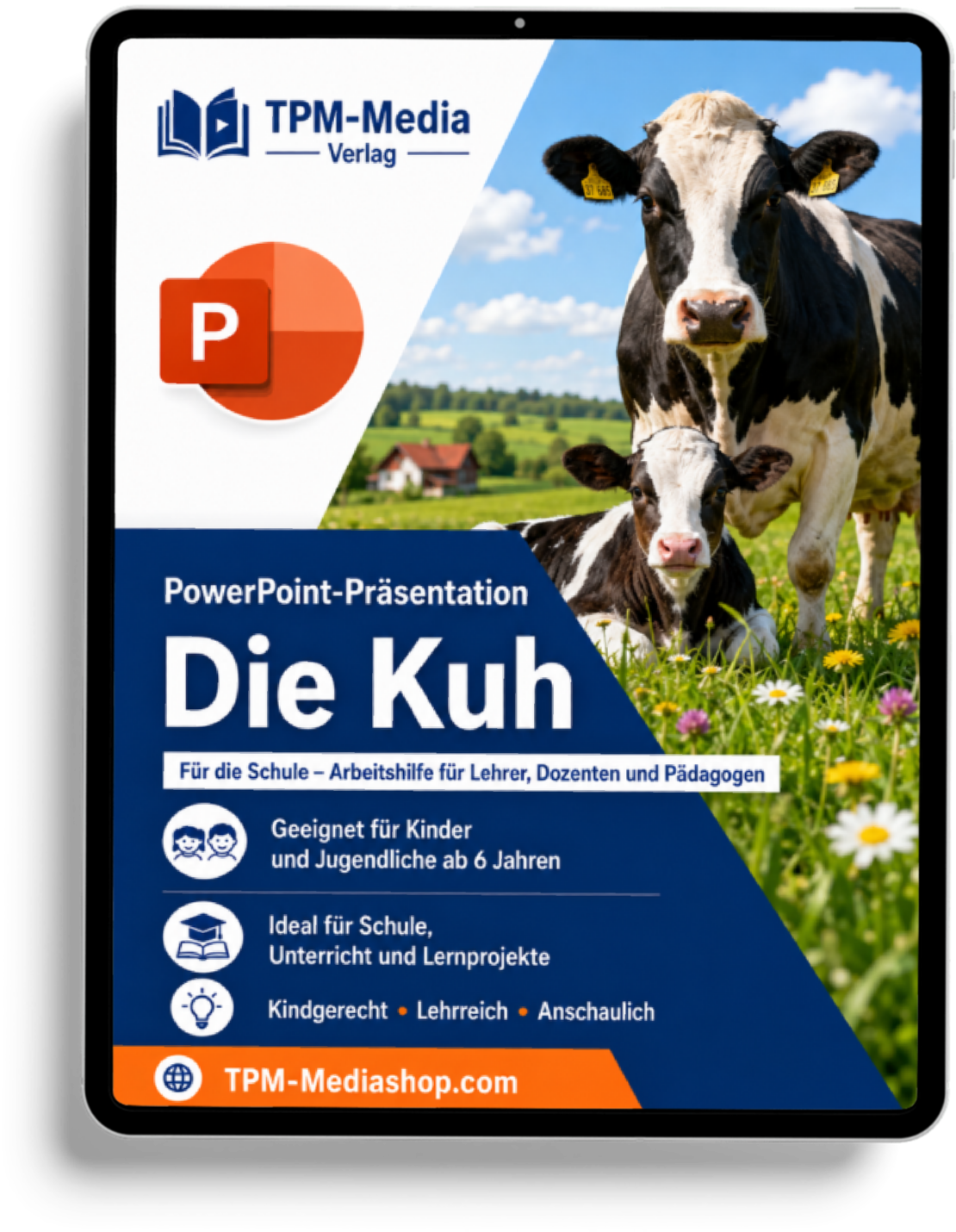 Kühe PowerPoint Präsentation für den Schuleinsatz - Download-Version
