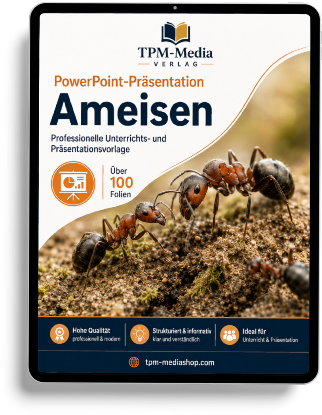 Ameisen PowerPoint Präsentation Schule - Download-Version für den Schuleinsatz