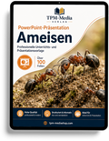 Ameisen PowerPoint Präsentation Schule - Download-Version für den Schuleinsatz