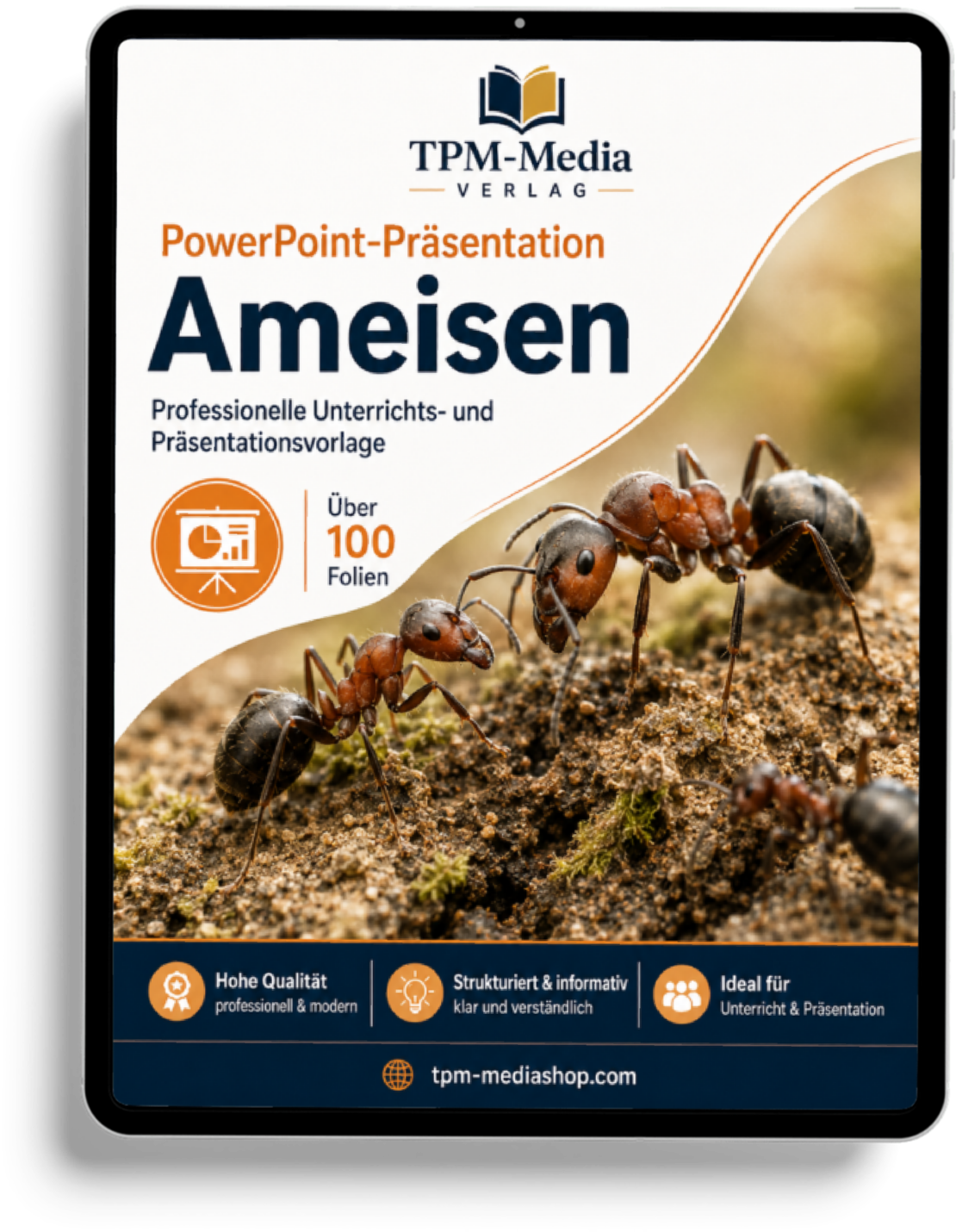 Ameisen PowerPoint Präsentation Schule - Download-Version für den Schuleinsatz